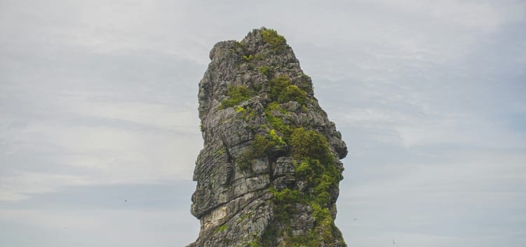 October 3 Changed Everything: How One $800 Fine Flipped Singapore's AI Coverage from Adoption to Accountability